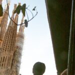 Wine tasting with a view of the Sagrada Familia - The Sum Up