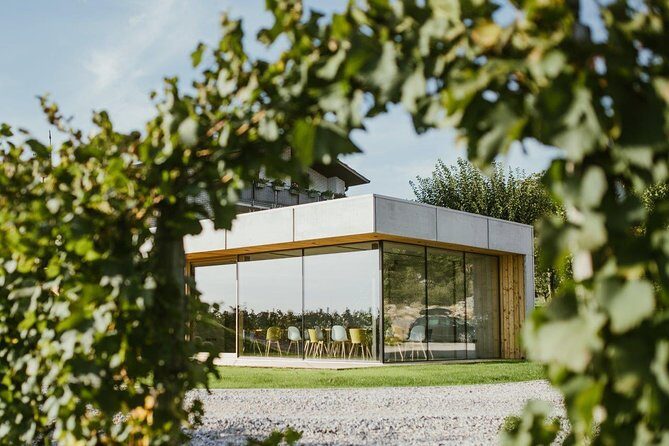 Wine Tasting with Pairing Snacks in Vipava Valley - Exploring the Itinerary and What You Can Expect