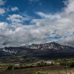 Wine Tour: 2 Wineries From Logroño - Who Should Consider This Tour?