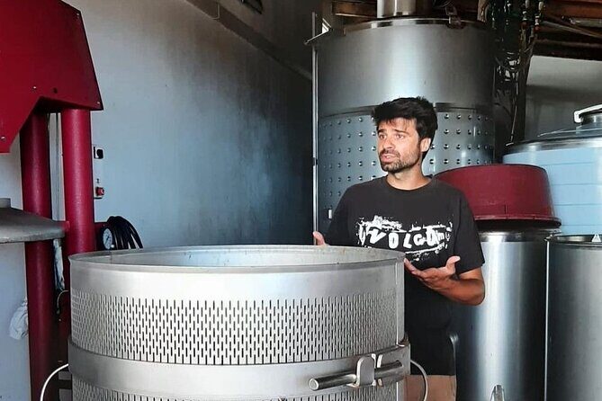 Wine tour and Tasting with a local Winemaker at Pico Island - Additional Details: Practicalities and Price-Value Balance