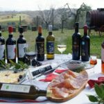 Wine Tour Experience at Agricola Tamburini - Who Is This Tour Best Suited For?