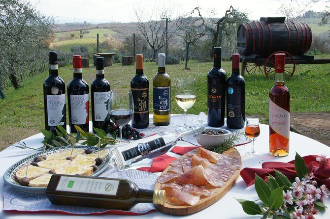 Wine Tour Experience at Agricola Tamburini - Who Is This Tour Best Suited For?