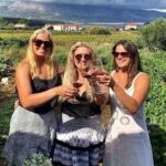 Wine tour Korula - private tour - The Experience: What You Can Expect