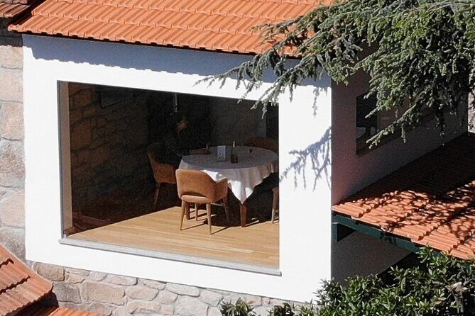Winery Tour and Wine Tasting Quinta da Portela de Baixo in Lamego - Who Should Consider This Tour?