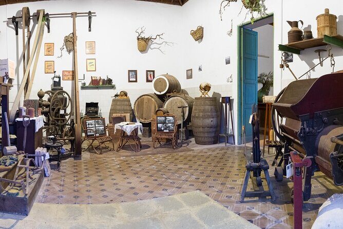 Winery Tour, Wine Museum, and Tasting in Gran Canaria - The Practical Side: Logistics and Value