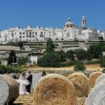 WINES Tastings and Countryside! from Bari - Who Is This Tour Best For?