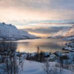 Winter Fjord Road Trip with Citizen Science with Wandering Owl - Why This Tour Might Be Perfect for You