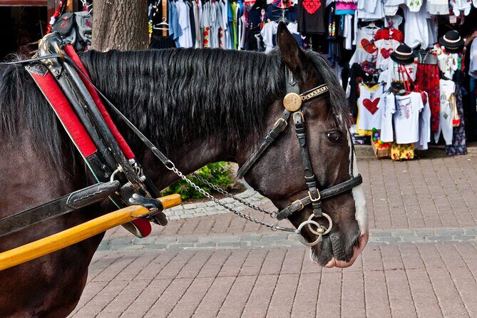 Zakopane and Chocholow Thermal Baths Tour from Krakow - Strolling Krupowki Street
