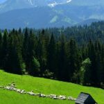 ZAKOPANE & THERMAL SPRINGS, Funicular, Cheese Tasting - Who Is This Tour Best For?