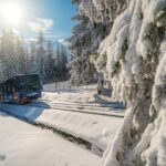 Zakopane Tour, Cable Car & Hot Springs from Krakow (Hotel pickup) - Authentic Feedback from Travelers