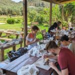 Zakynthos Ceramic Workshop Experience - Value and Price: Is It Worth It?