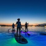 1.5-hour Clear Kayak Rental: Discover the Underwater World - Authentic Perspectives from Past Travelers