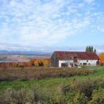 1.5-Hour Guided Snowmobiling Adventure - Key Points