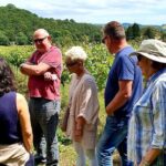 1.5-Hour Swanaford Vineyard Tour And Tasting Experience - FAQs