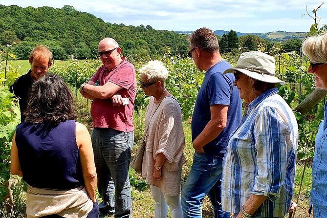 1.5-Hour Swanaford Vineyard Tour And Tasting Experience - FAQs
