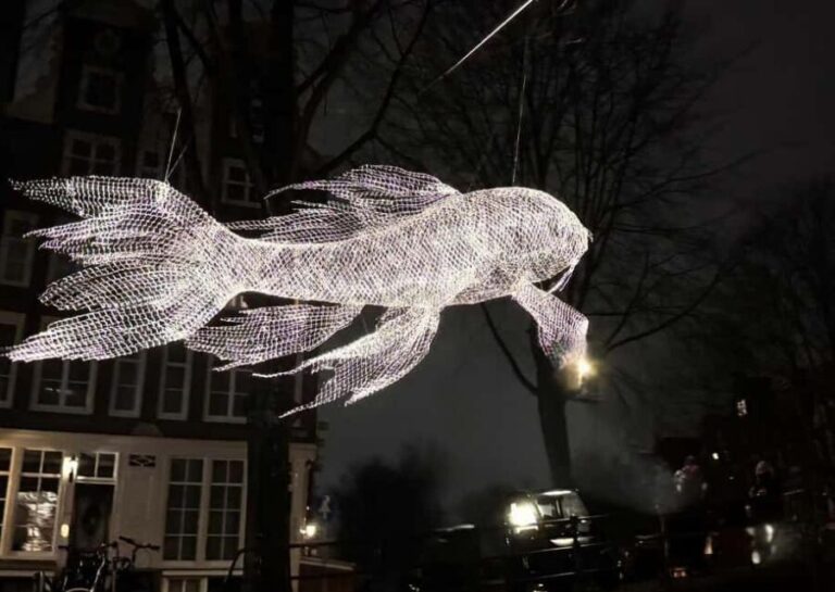 #1 Amsterdam Light Festival Cruise incl. Drinks & Biscuits - Who This Tour Is Perfect For