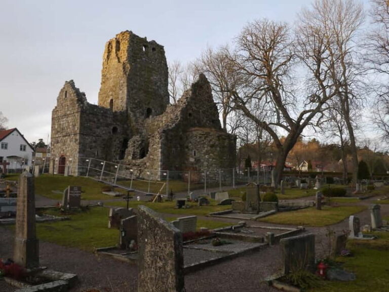 1-day 7h Royal Palace and Castle Tour from Stockholm - Who Is This Tour Best Suited For?