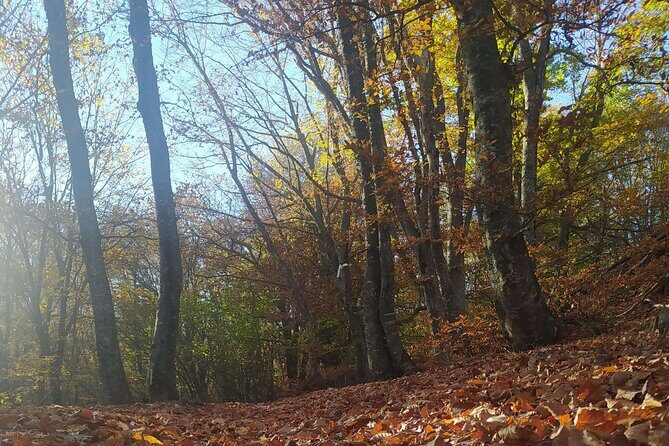 1 Day Chortiatis mt Thessaloniki Hiking Tour with Hotel Pickup - A Closer Look at the Chortiatis Hiking Experience