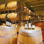 1-Day from Bucharest to Mud Volcanoes & Wine Country Escape - Discovering Romania’s Surreal Mud Volcanoes