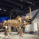 1 Day of Drumheller Dinosaurs and Badlands Guided Group Tour - Who Will Love This Tour?