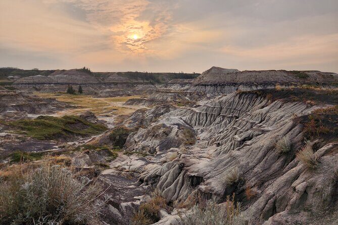 1 Day of Drumheller Dinosaurs and Badlands in Private Custom Tour - What We Loved About the Experience