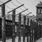 1-Day Private Tour Stutthof Concentration Camp and Malbork Castle - Final thoughts