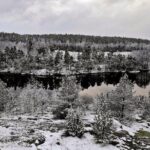 1-Day Small-Group Stockholm Nature Hiking - Why Travelers Love This Tour