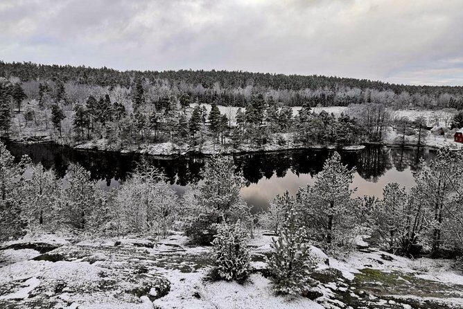 1-Day Small-Group Stockholm Nature Hiking - Why Travelers Love This Tour