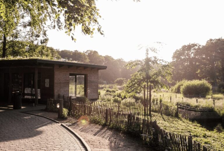 1-day ticket for Schwerin Zoo - Is It Worth the Price?