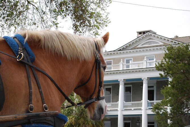 #1 Historical Horse Drawn Carriage Tour - Why the Reviews Love It