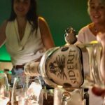 1-Hour Gin Tonics Guided Workshop with special view in Madrid - The Value of the Experience