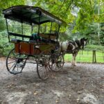 1 Hour Guided Carriage Tour in Killarney National Park - Meet Points and Convenience