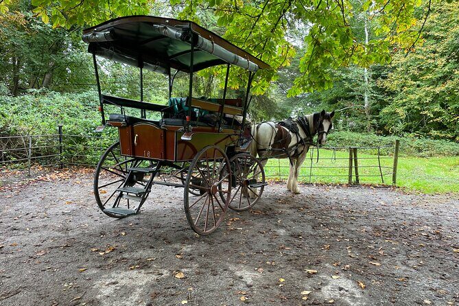 1 Hour Guided Carriage Tour in Killarney National Park - Meet Points and Convenience