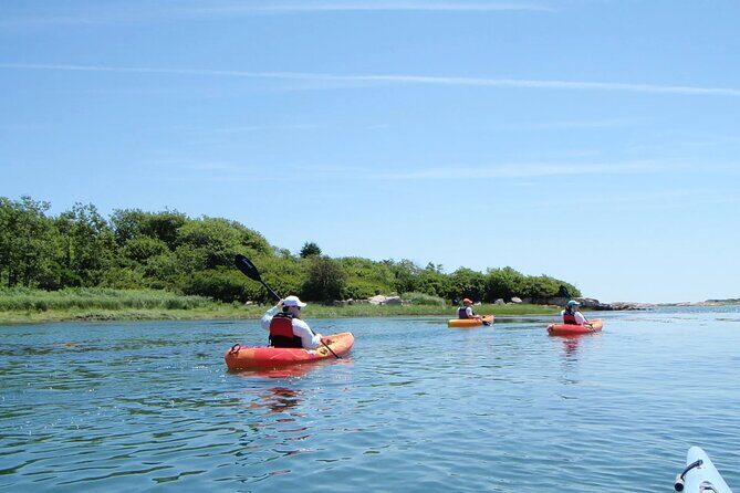 1 Hour Guided SUP/Kayak Tour in Pelican Bay at Fort Myers Beach - Experience Insights from Reviewers