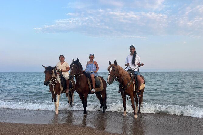1 Hour Horse Riding in Antalya - The Value of the Experience