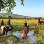 1-Hour Horse Riding Tour at Palomino Ranch Near Tbilisi - Who Should Consider This Tour?