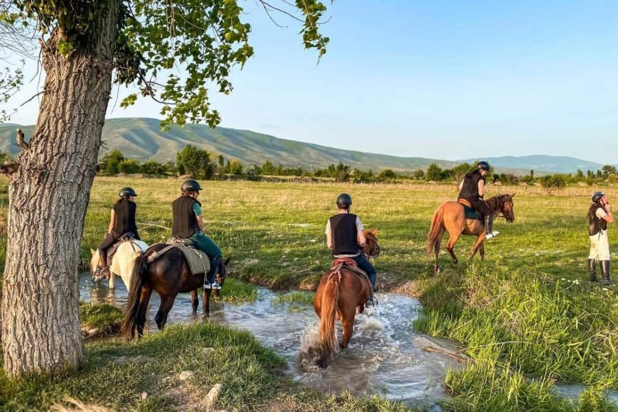1-Hour Horse Riding Tour at Palomino Ranch Near Tbilisi - Who Should Consider This Tour?