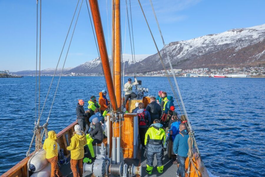 1 Hour Photo & History Cruise - The Experience in Detail