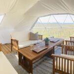 1 Hour Private Vineyard Dome Experience in Niagara-on-the-Lake - The Views and Atmosphere: Why They Matter