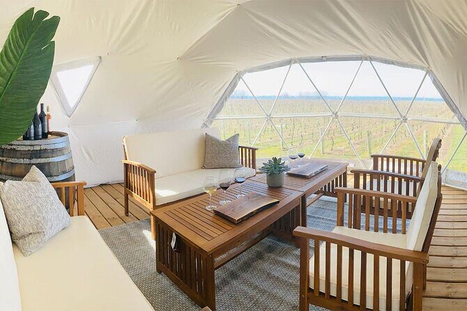 1 Hour Private Vineyard Dome Experience in Niagara-on-the-Lake - The Views and Atmosphere: Why They Matter