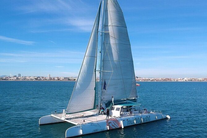 1 Hour Sailing Excursion in Valencia - What to Expect on the Itinerary