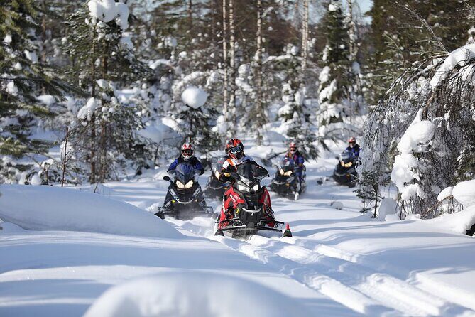 1-Hour Snowmobile Safari Adventure in Rovaniemi - What to Expect from the Snowmobile Safari