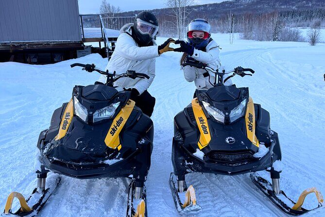 1 Hour Snowmobile Tour in Fairbanks Alaska - The Logistics: Pricing, Duration, and Convenience