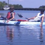 1-Hour Tandem Kayak Rental with Manatee & Dolphin sightings - The Experience Itself