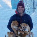 1 hour Winter Dog Sledding in Fairbanks - The Itinerary Breakdown