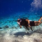 1 Tank Guided Shore Dive Including Equipment - How the Experience Unfolds