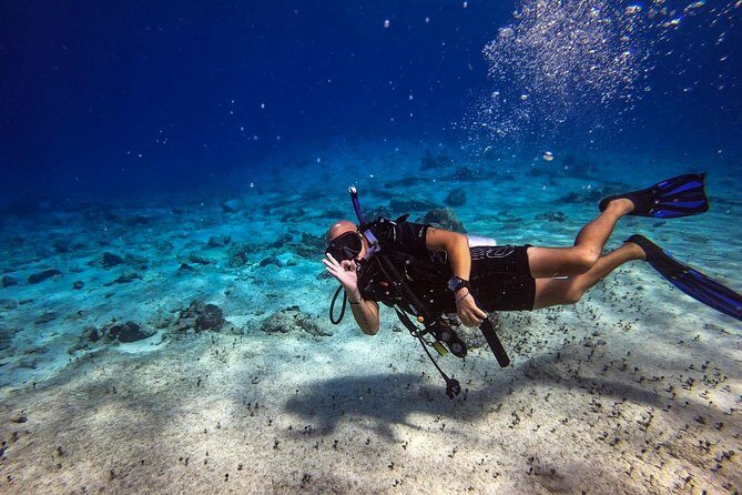 1 Tank Guided Shore Dive Including Equipment - How the Experience Unfolds