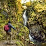 10 Lakes Winter Scenic Tour - Expert Guide - Photo Stops - Magnificent Locations - Who Would Love This Tour?