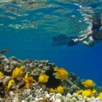 10 Passenger Max Customizable Private Charter - The Details: What Does the Tour Cover?