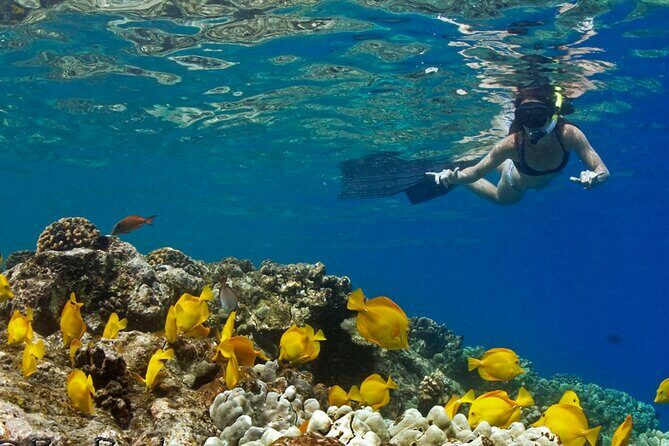 10 Passenger Max Customizable Private Charter - The Details: What Does the Tour Cover?